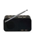 TESLA Sound RB110 - DAB+ radiobudík