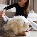 TESLA PetCare Station TQ500 Pro - sada pro péči o srst domácích mazlíčků, rozbaleno