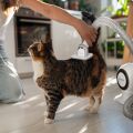 TESLA PetCare Station TQ500 Pro - sada pro péči o srst domácích mazlíčků, rozbaleno