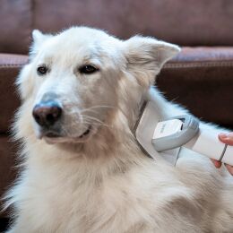 TESLA PetCare Station TQ500 Pro - sada pro péči o srst domácích mazlíčků, rozbaleno
