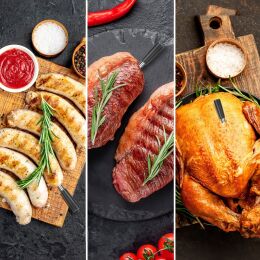 TESLA Cook BBQ200 - bezdrátová teplotní sonda