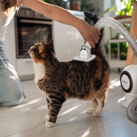 TESLA PetCare Station Pro TQ500 – sada pro péči o srst domácích mazlíčků