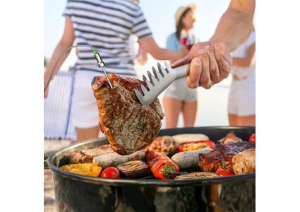 Umění grilování: Když jídlo spojuje a technologie pomáhá