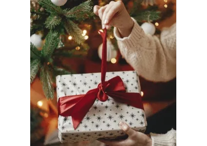 Tipy na vánoční dárky – potěšte své blízké spolehlivými pomocníky pro úklid a vaření