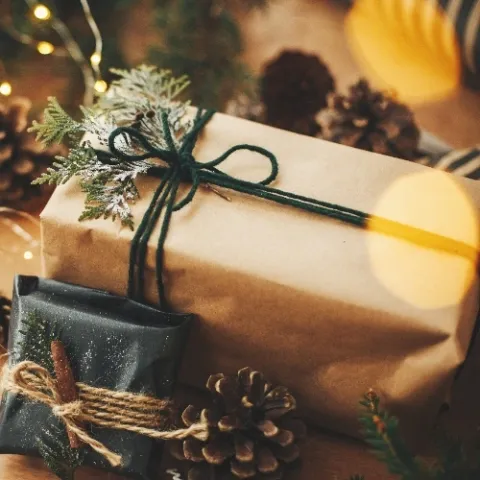 Tipy na vánoční dárky – potěšte své blízké spolehlivými pomocníky pro zábavu a chytrou domácnost