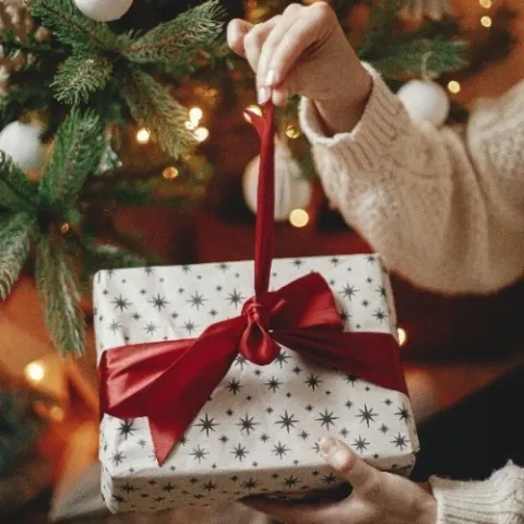 Tipy na vánoční dárky – potěšte své blízké spolehlivými pomocníky pro úklid a vaření